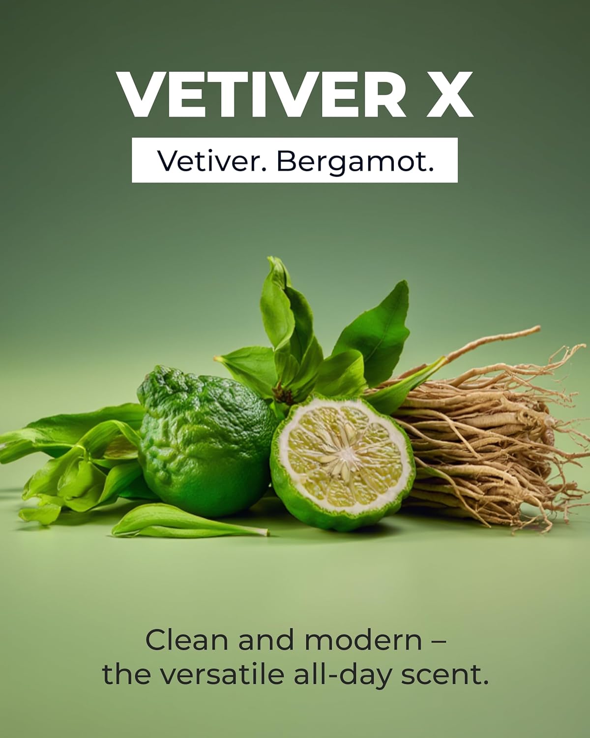 Hair & Beard Vetiver Pomade [Clearance - Final Sale]